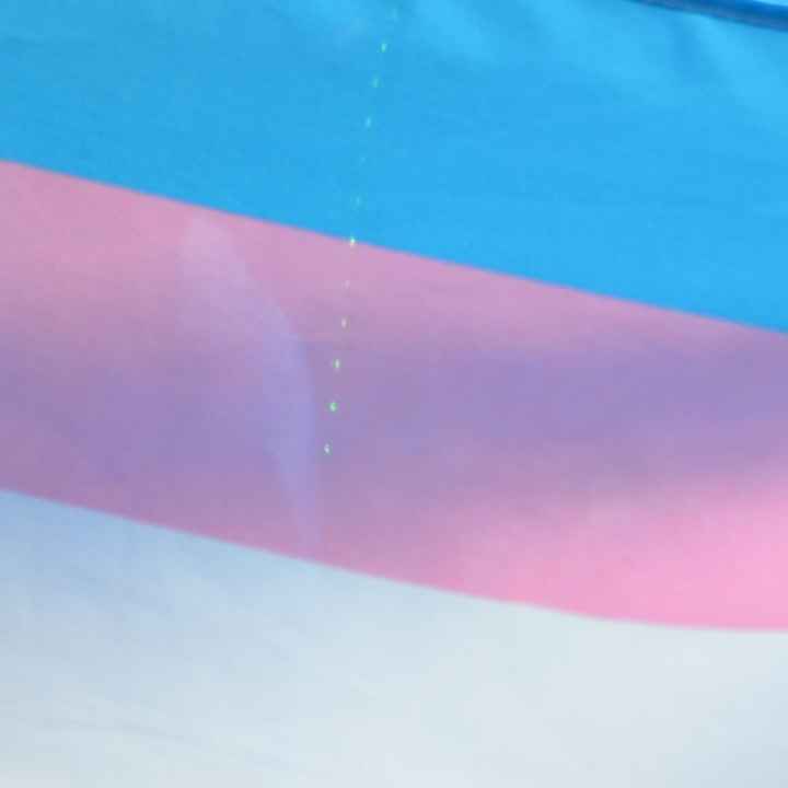 trans flag header