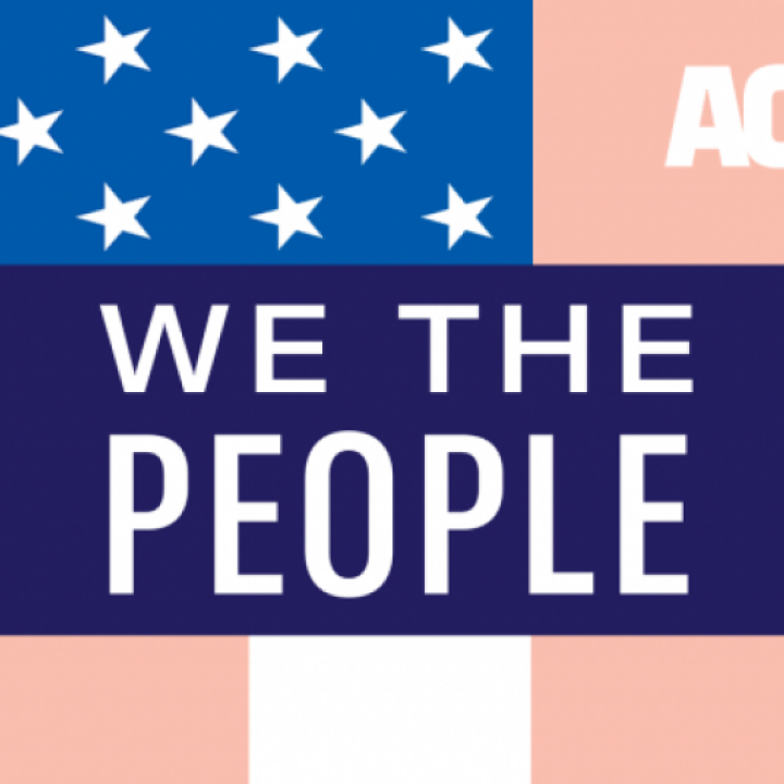 We the People trans flag