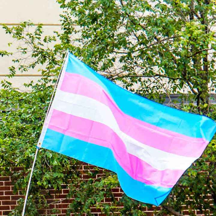 Trans Flag flying